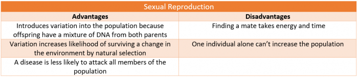 Compare The Advantages And Disadvantages Of Sexual And Asexual Reproduction Worksheet Edplace 2249